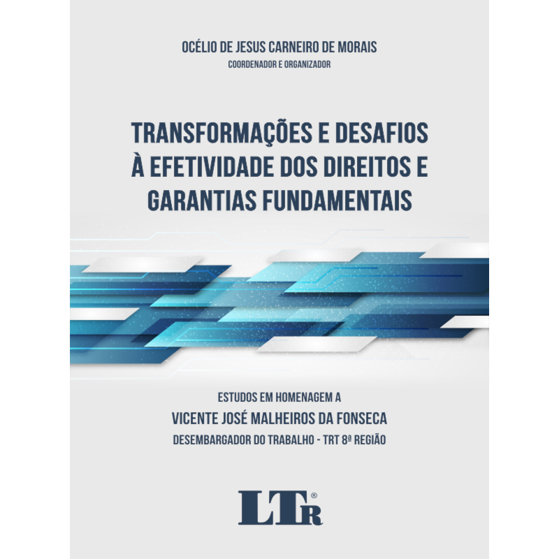 TRANSFORMAÇÕES E DESAFIOS À EFETIVIDADE DOS DIREITOS E GARANTIAS FUNDAMENTAIS