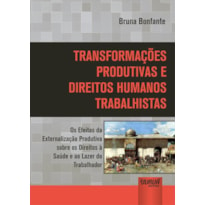 TRANSFORMAÇÕES PRODUTIVAS E DIREITOS HUMANOS TRABALHISTAS - OS EFEITOS DA EXTERNALIZAÇÃO PRODUTIVA SOBRE OS DIREITOS À SAÚDE E AO LAZER DO TRABALHADOR