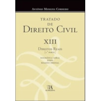 Tratado de direito civil: XIII - Direitos reais 1ª parte - Dogmática geral, posse e registo predial