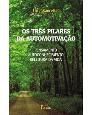 TRES PILARES DA AUTOMOTIVAÇAO, OS - 1