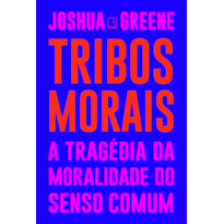TRIBOS MORAIS: A TRAGÉDIA DA MORALIDADE DO SENSO COMUM