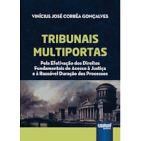 TRIBUNAIS MULTIPORTAS - PELA EFETIVAÇÃO DOS DIREITOS FUNDAMENTAIS DE ACESSO À JUSTIÇA E À RAZOÁVEL DURAÇÃO DOS PROCESSOS