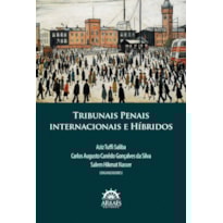Tribunais penais internacionais e híbridos
