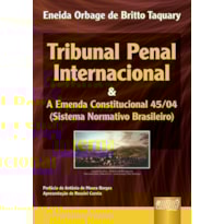 TRIBUNAL PENAL INTERNACIONAL E A EMENDA CONSTITUCIONAL 45/04 (SISTEMA NORMATIVO BRASILEIRO)