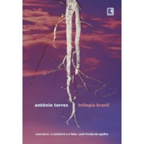 TRILOGIA BRASIL: ESSA TERRA, O CACHORRO E O LOBO, PELO FUNDO DA AGULHA