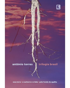 TRILOGIA BRASIL: ESSA TERRA, O CACHORRO E O LOBO, PELO FUNDO DA AGULHA