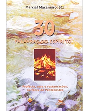 TRINTA PALAVRAS DO ESPIRITO - COL. PASSOS DA RENOVACAO - 1