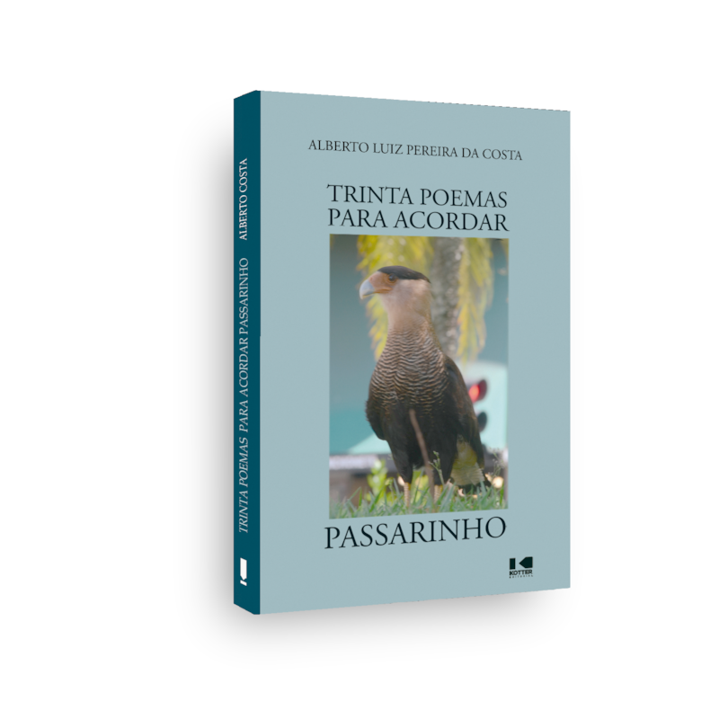 Trinta poemas para acordar passarinho