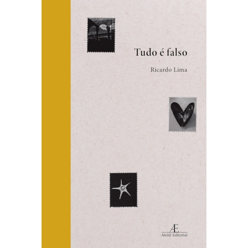 TUDO É FALSO: POEMAS (2020-2024)