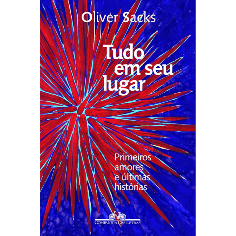 Tudo em seu lugar: primeiros amores e últimas histórias