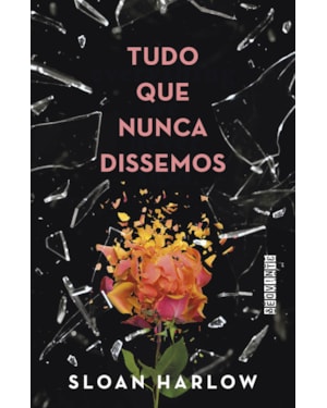 TUDO QUE NUNCA DISSEMOS