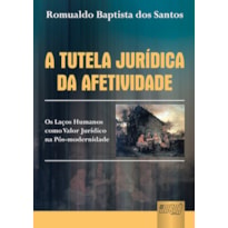 TUTELA JURÍDICA DA AFETIVIDADE, A - OS LAÇOS HUMANOS COMO VALOR JURÍDICO NA PÓS-MODERNIDADE - PREFÁCIO DE GISELDA HIRONAKA