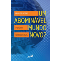 Um abominável mundo novo?: o ensino superior atual