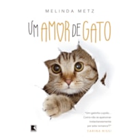 UM AMOR DE GATO
