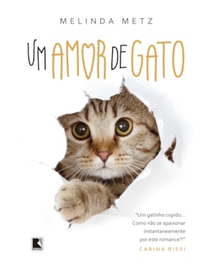 UM AMOR DE GATO