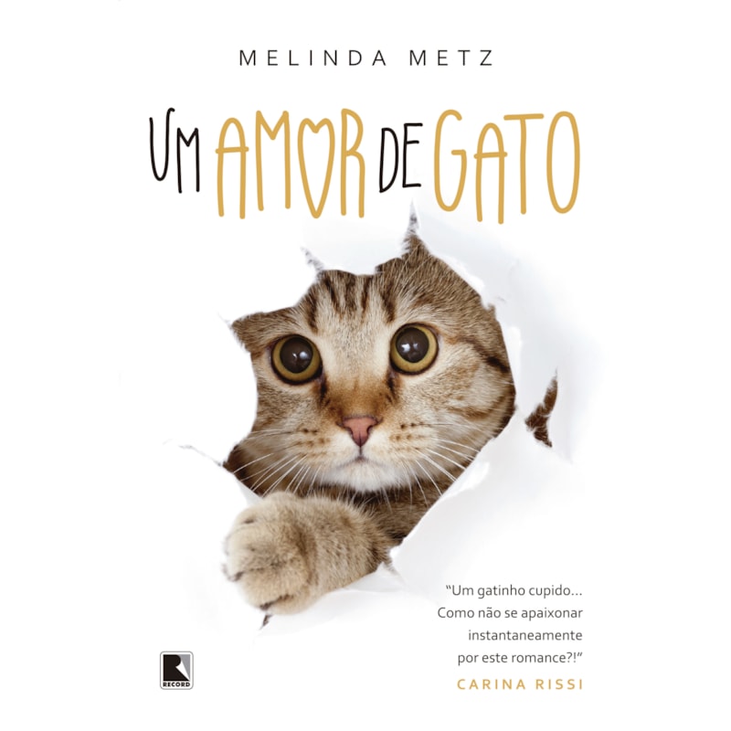 UM AMOR DE GATO