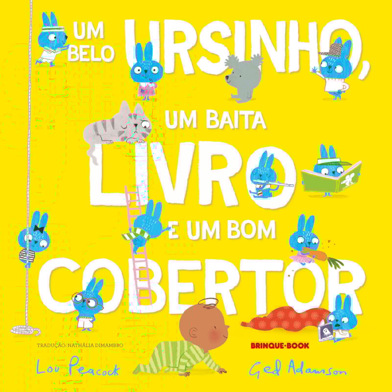 UM BELO URSINHO, UM BAITA LIVRO E UM BOM COBERTOR