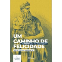 UM CAMINHO DE FELICIDADE - AS VIRTUDES NOS DEZ MANDAMENTOS