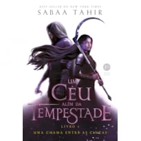 UM CÉU ALÉM DA TEMPESTADE (VOL. 4 UMA CHAMA ENTRE AS CINZAS)
