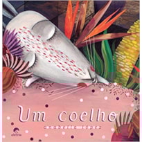 UM COELHO
