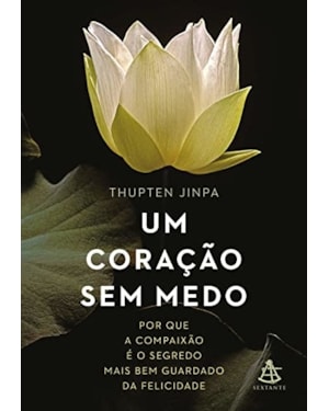 UM CORAÇÃO SEM MEDO: POR QUE A COMPAIXÃO É O SEGREDO MAIS BEM GUARDADO DA FELICIDADE