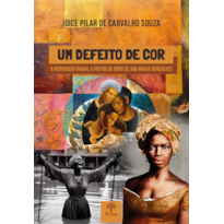 UM DEFEITO DE COR: A HIERARQUIA RACIAL A PARTIR DA OBRA DE ANA MARIA GONÇALVES