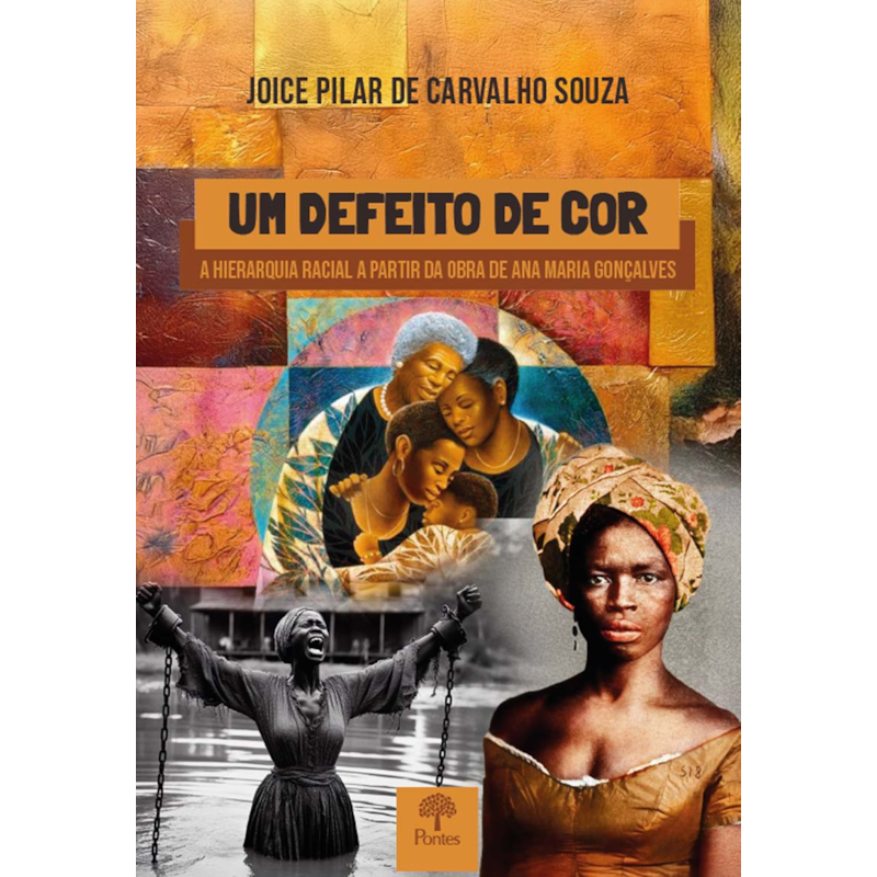UM DEFEITO DE COR: A HIERARQUIA RACIAL A PARTIR DA OBRA DE ANA MARIA GONÇALVES