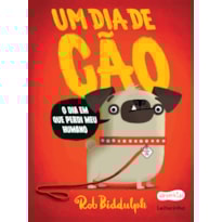 UM DIA DE CÃO UM DIA DE CÃO