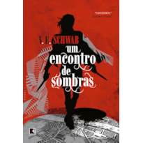 UM ENCONTRO DE SOMBRAS (VOL. 2 OS TONS DE MAGIA)