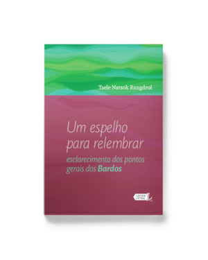UM ESPELHO PARA RELEMBRAR: ESCLARECIMENTO DOS PONTOS GERAIS DOS BARDOS