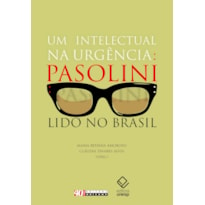 UM INTELECTUAL NA URGÊNCIA - PASOLINI LIDO NO BRASIL