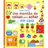 UM MONTÃO DE COISAS PARA ACHAR EM CASA