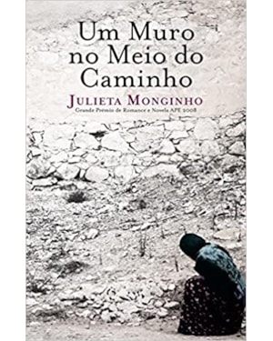 UM MURO NO MEIO DO CAMINHO