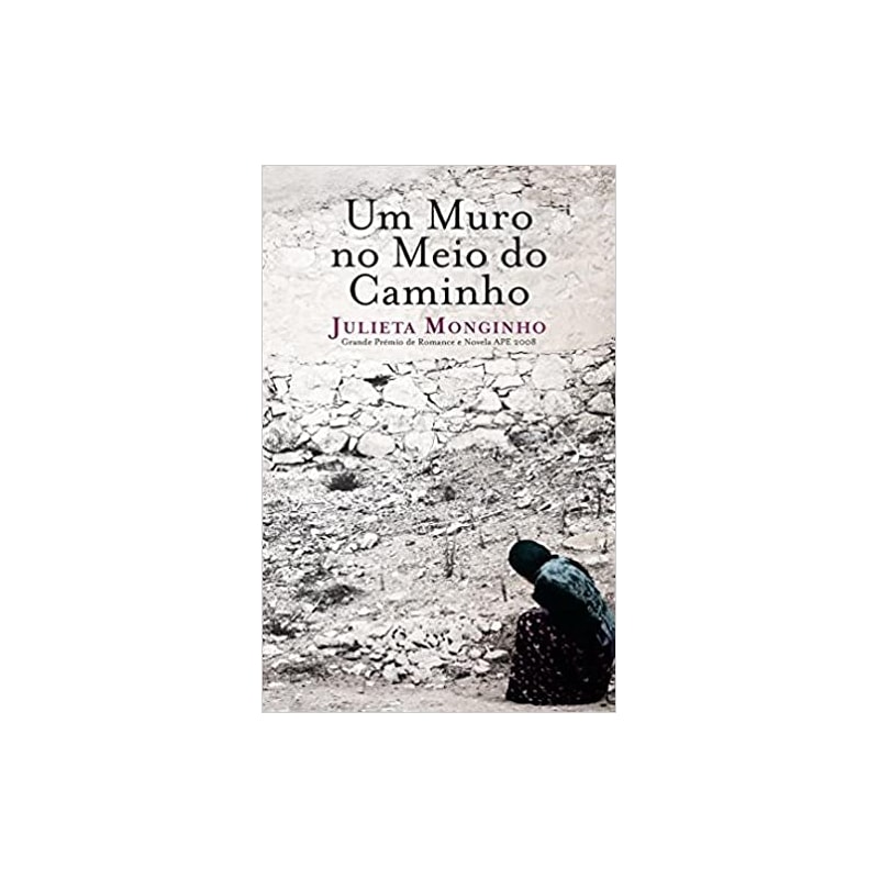 UM MURO NO MEIO DO CAMINHO