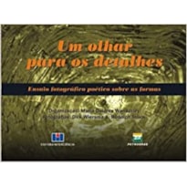 Um olhar para os detalhes: ensaio fotográfico poético sobre as formas