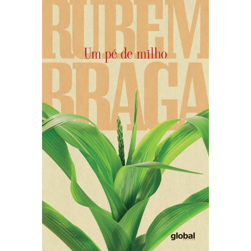 UM PÉ DE MILHO