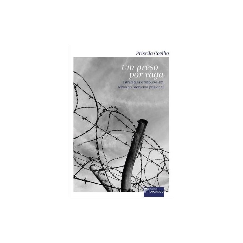 UM PRESO POR VAGA: ESTRATÉGIAS E DISPUTAS EM TORNO DA SUPERLOTAÇÃO CARCERÁRIA
