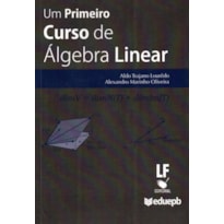 UM PRIMEIRO CURSO DE ÁLGEBRA LINEAR