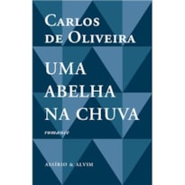 UMA ABELHA NA CHUVA