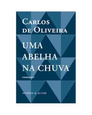UMA ABELHA NA CHUVA
