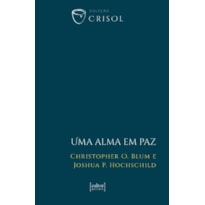 UMA ALMA EM PAZ - CRISOL (XV)