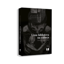 Uma biblioteca na cabeça: Ensaios de crítica literária (2002-2012)