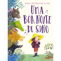 UMA BOA NOITE DE SONO - UMA AVENTURA QUE ENSINA AS CRIANÇAS A LIDAREM COM SENTIMENTOS COMO MEDO, FRUSTRAÇÃO E INSEGURANÇA