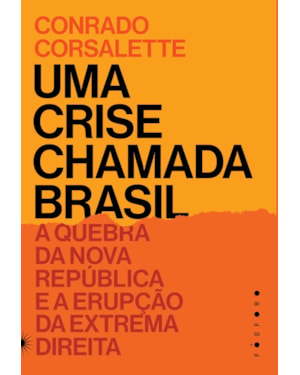 UMA CRISE CHAMADA BRASIL: A QUEBRA DA NOVA REPÚBLICA E A ERUPÇÃO DA EXTREMA DIREITA