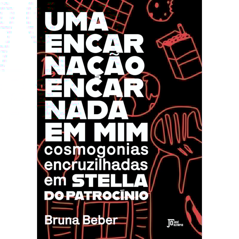 UMA ENCARNAÇÃO ENCARNADA EM MIM