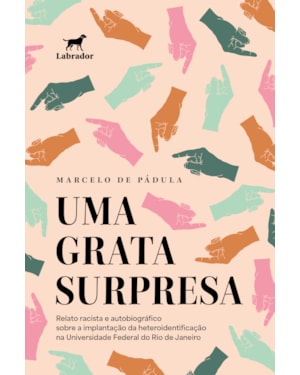 UMA GRATA SURPRESA: RELATO RACISTA E AUTOBIOGRÁFICO SOBRE A IMPLANTAÇÃO DA HETEROIDENTIFICAÇÃO NA UNIVERSIDADE FEDERAL DO RIO DE JANEIRO