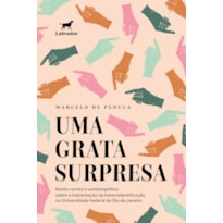 UMA GRATA SURPRESA: RELATO RACISTA E AUTOBIOGRÁFICO SOBRE A IMPLANTAÇÃO DA HETEROIDENTIFICAÇÃO NA UNIVERSIDADE FEDERAL DO RIO DE JANEIRO