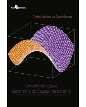 Uma introdução à geometria do espaço de Lorentz