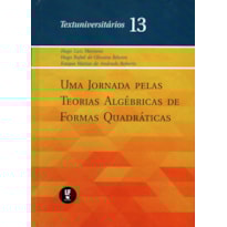 UMA JORNADA PELAS TEORIAS ALGÉBRICAS DE FORMAS QUADRÁTICAS