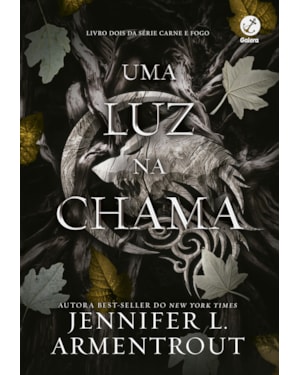 UMA LUZ NA CHAMA (VOL. 2 CARNE E FOGO)